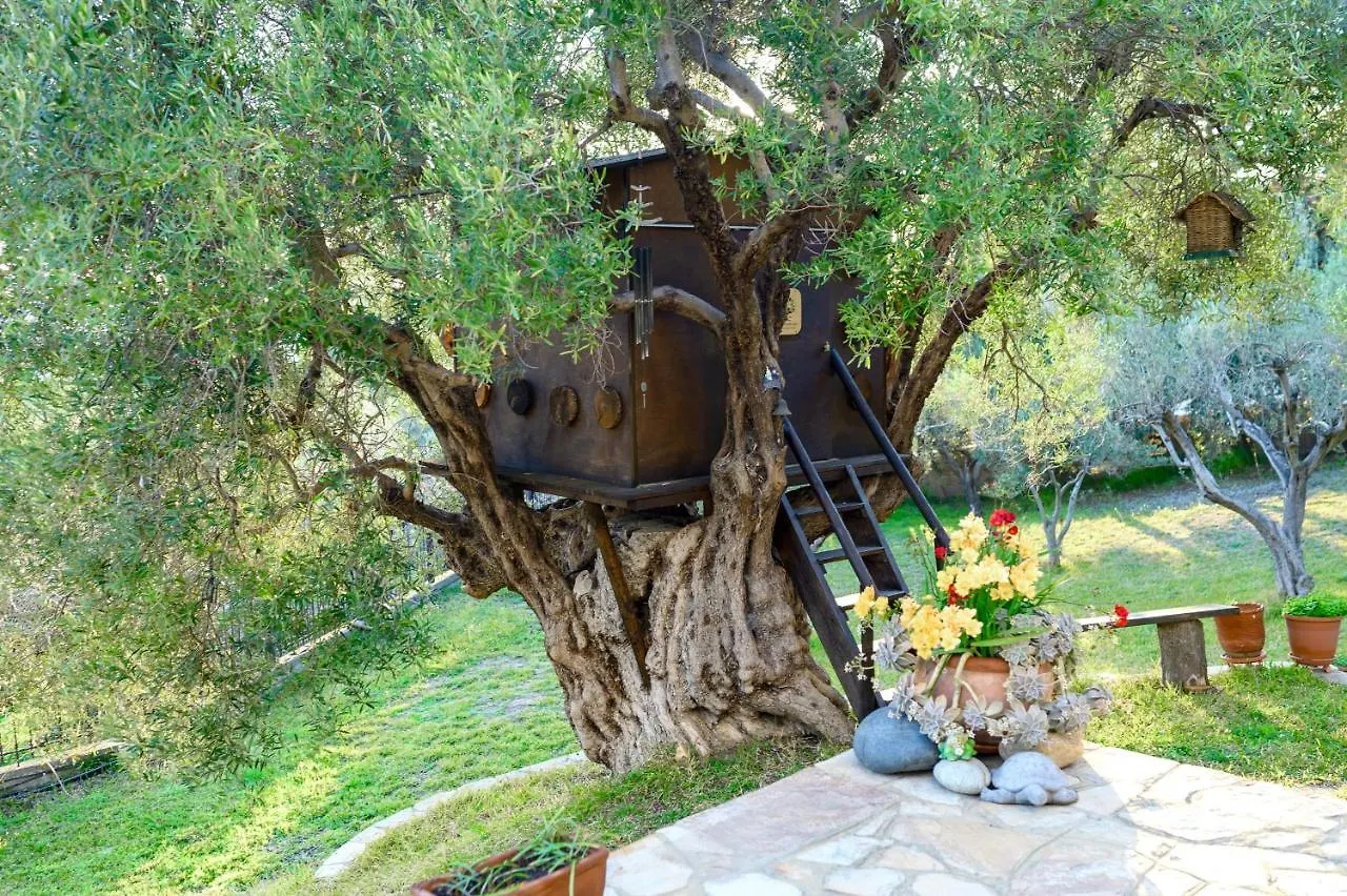 Kastri Treehouse Apartment Nikiti  Greece